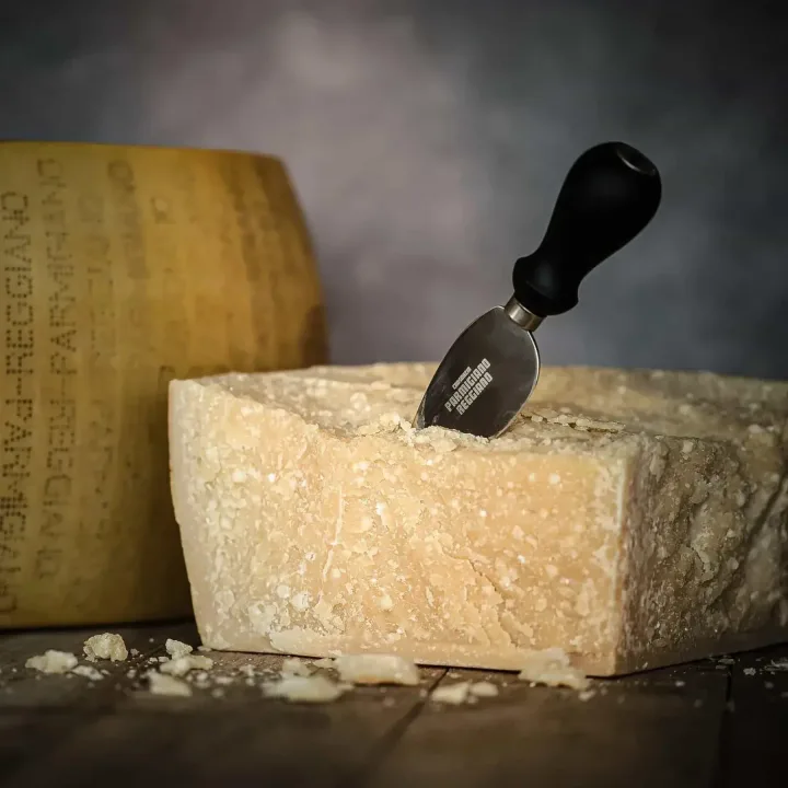 Authentic Flavours Parmigiano Reggiano