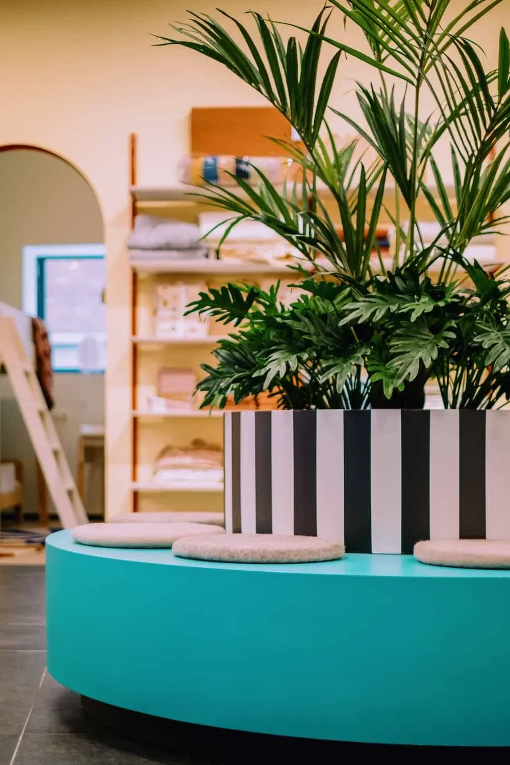 Studio Play collectie